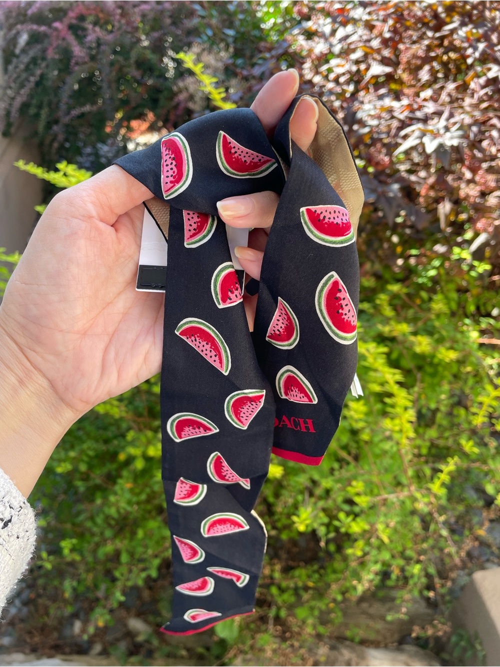 Coach Women’s Black Silk Tie with Watermelon Print